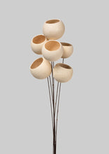 Load image into Gallery viewer, Bell cup dried stem