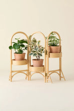 Load image into Gallery viewer, 3 Tier Foldable Rattan Cane Plant Pot Stand - Natural Finish