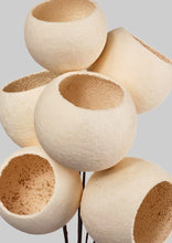 Load image into Gallery viewer, Bell cup dried stem