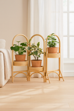 Load image into Gallery viewer, 3 Tier Foldable Rattan Cane Plant Pot Stand - Natural Finish