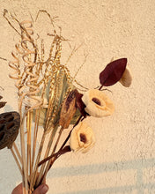 Load image into Gallery viewer, Ebony dried flower
