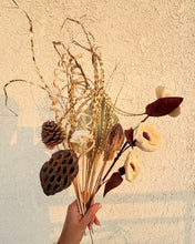 Load image into Gallery viewer, Ebony dried flower