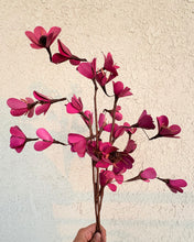 Load image into Gallery viewer, Pink Bella flower