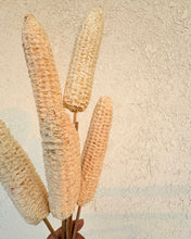 Load image into Gallery viewer, Corn stem