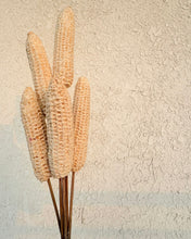 Load image into Gallery viewer, Corn stem