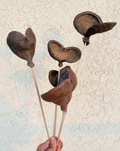 Load image into Gallery viewer, Almond Nut twig