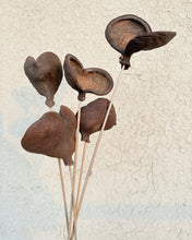 Load image into Gallery viewer, Almond Nut twig