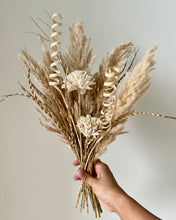 Load image into Gallery viewer, Asolo Dried dried flower