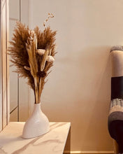 Load image into Gallery viewer, Polino dried flower Set