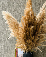 Load image into Gallery viewer, Blackrose Pampas set with vase