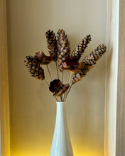 Load image into Gallery viewer, Pinewood dried flower
