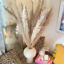 Load image into Gallery viewer, Brown Tall Pampas (10 stems Bunch)