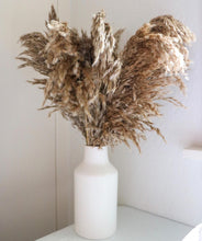 Load image into Gallery viewer, Fluffy Brown Pampas (10 stems Bunch)
