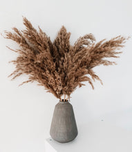 Load image into Gallery viewer, Fluffy Brown Pampas (10 stems Bunch)