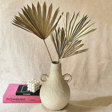 Load image into Gallery viewer, Amphora Vase