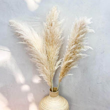 Load image into Gallery viewer, Small Ivory Pampas