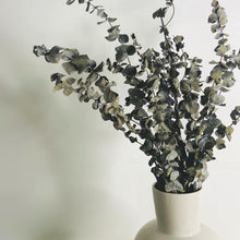 Load image into Gallery viewer, Natural dried Eucalyptus bunch