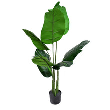 Load image into Gallery viewer, Bird of paradise Tree