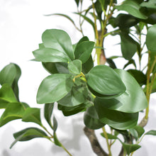 Load image into Gallery viewer, Faux Green Leaf Tree