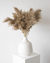 Load image into Gallery viewer, Brown Wide Cortaderia Pampas