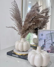 Load image into Gallery viewer, Pumpkin Vase