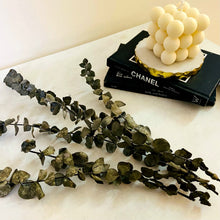 Load image into Gallery viewer, Natural dried Eucalyptus bunch