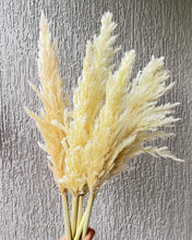 Load image into Gallery viewer, Small Ivory Pampas
