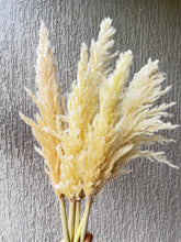 Load image into Gallery viewer, Small Ivory Pampas