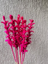 Load image into Gallery viewer, Twiggy stems