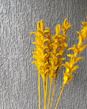 Load image into Gallery viewer, Twiggy stems