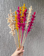 Load image into Gallery viewer, Twiggy stems