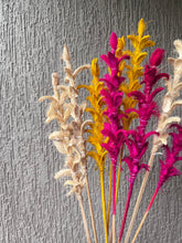 Load image into Gallery viewer, Twiggy stems