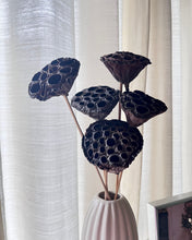 Load image into Gallery viewer, Lotus stems
