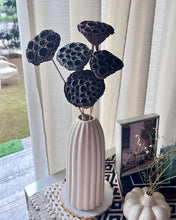 Load image into Gallery viewer, Lotus stems