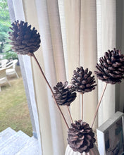 Load image into Gallery viewer, Pinecone stems