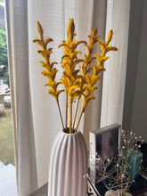 Load image into Gallery viewer, Twiggy stems