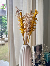 Load image into Gallery viewer, Twiggy stems