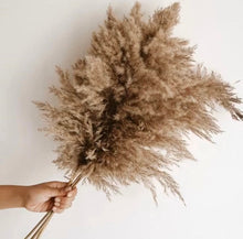 Load image into Gallery viewer, U-shaped pampas vase set