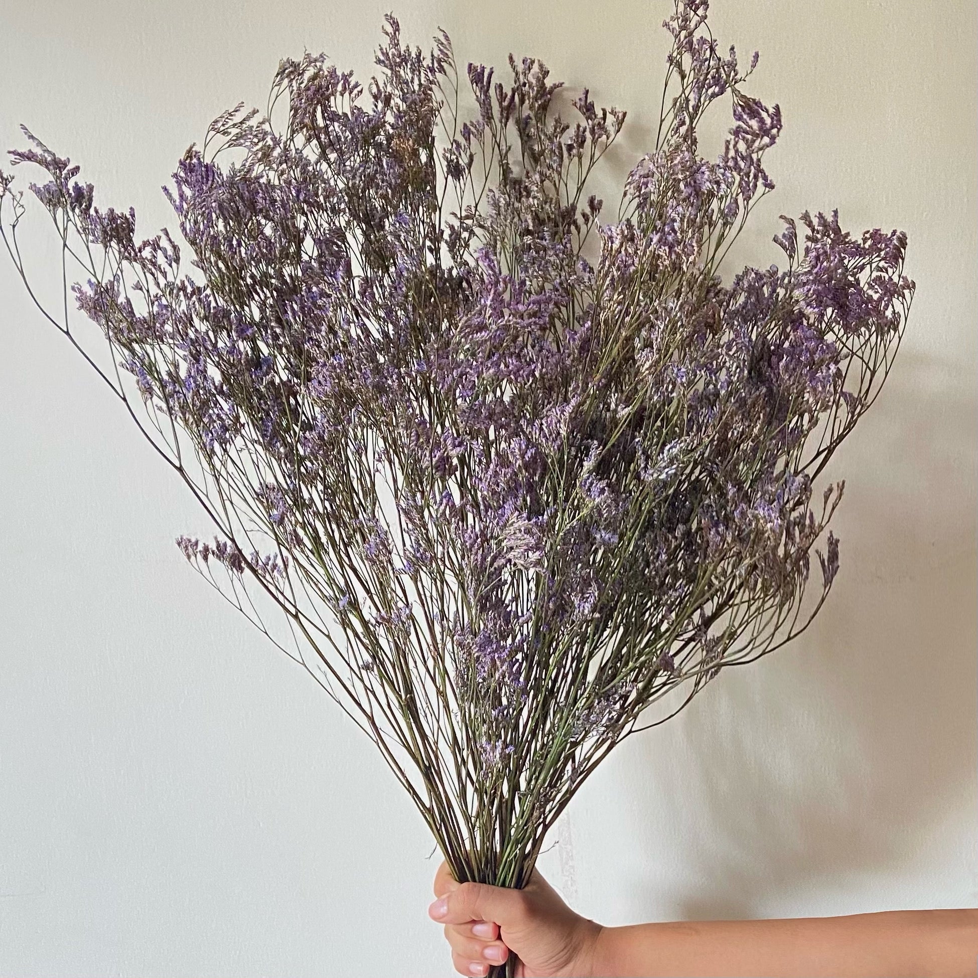 Naturally Dried Lavender stems Casarella