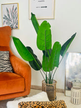 Load image into Gallery viewer, Bird of paradise Tree