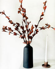 Load image into Gallery viewer, Cami Vase with Dried flower set
