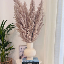 Load image into Gallery viewer, Gourd vase with Tall Pampas set