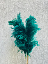 Load image into Gallery viewer, Green Fluffy Pampas