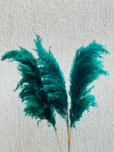 Load image into Gallery viewer, Green Fluffy Pampas
