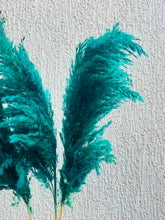 Load image into Gallery viewer, Green Fluffy Pampas