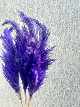 Load image into Gallery viewer, Purple Fluffy Pampas