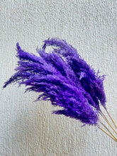Load image into Gallery viewer, Purple Fluffy Pampas