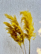 Load image into Gallery viewer, Yellow Fluffy Pampas