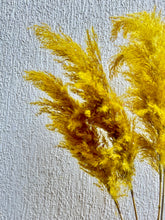 Load image into Gallery viewer, Yellow Fluffy Pampas