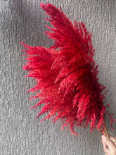Load image into Gallery viewer, Red Fluffy Pampas